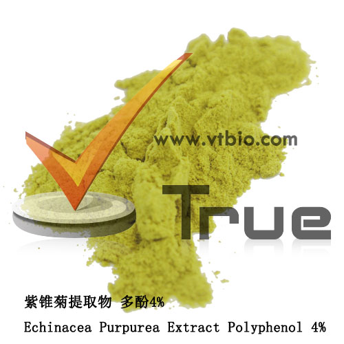 Echinacea Purpurea Extract